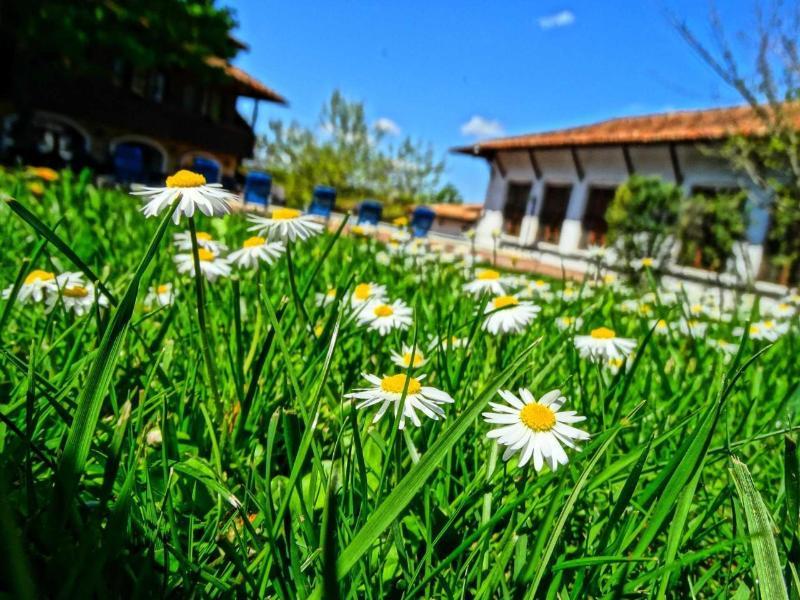Hotel Izvora - Garden Retreat Arbanasi Luaran gambar