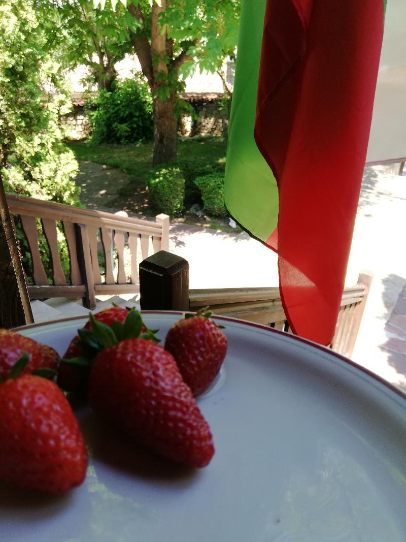 Hotel Izvora - Garden Retreat Arbanasi Luaran gambar